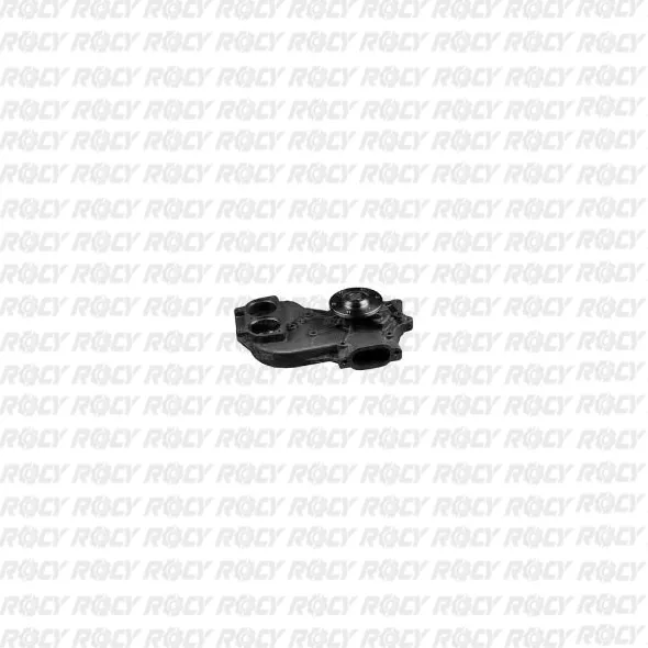R 01 01-1305
